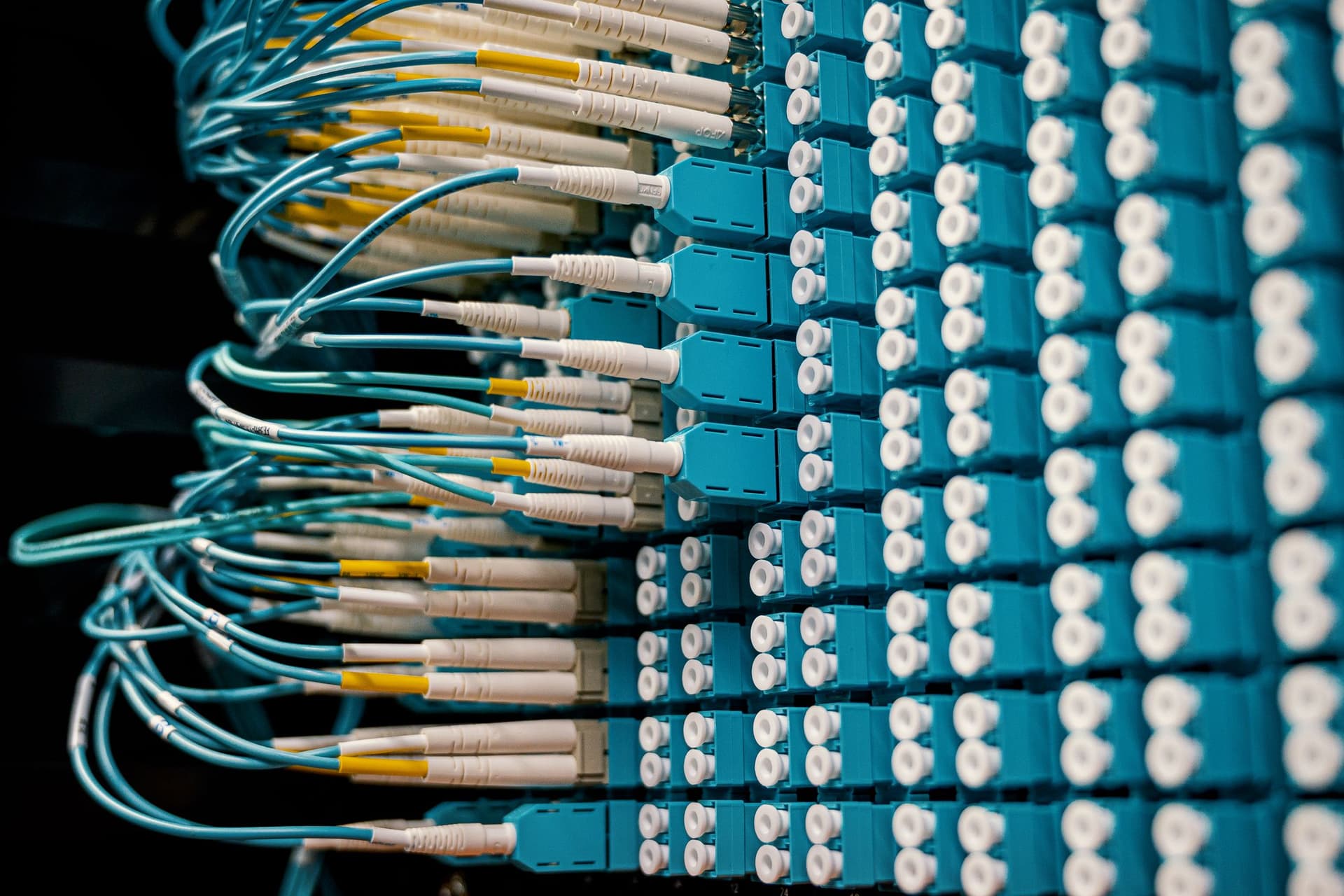Blue fiber cables organized through network distribution equipment