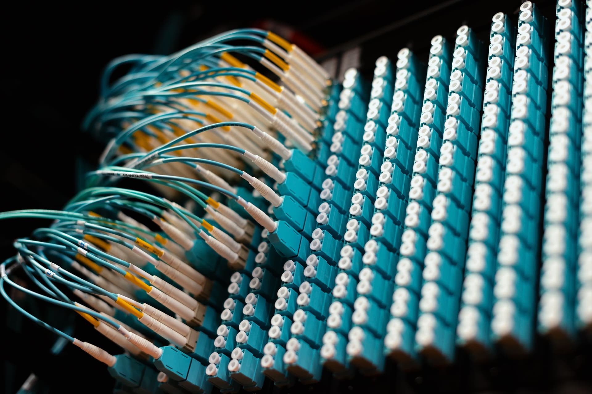 Organized blue fiber optic connections installed in a distribution panel